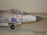 Sea Harrier Mk 1 (11).JPG

63,80 KB 
1024 x 768 
22.11.2011
